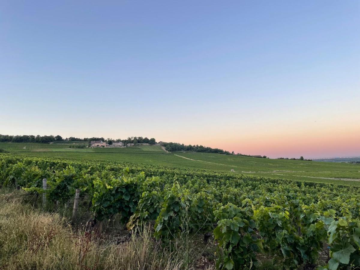 Le Clos De Miribel Givry (Saone-et-Loire) Exterior foto